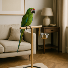 Collection image for: Accessoires oiseaux, cages, nids, graines...