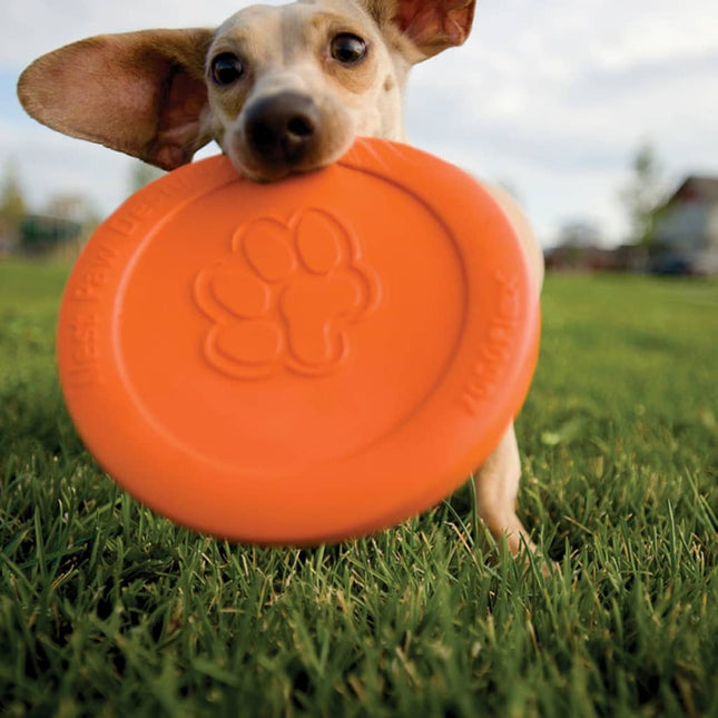 Zogoflex Frisbee Pour Chien Zisc Taille L 1937