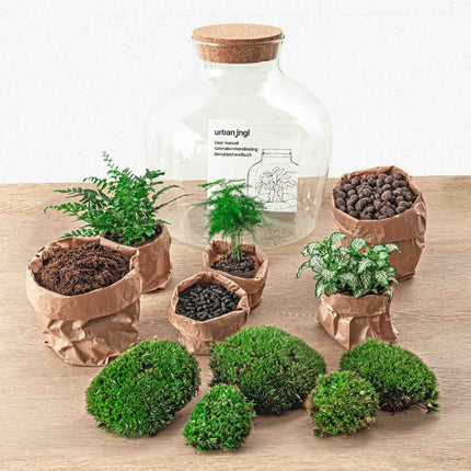 Terrarium Diy Kit - Fat Joe Green - Bottle Garden - ↑ 30 Cm
