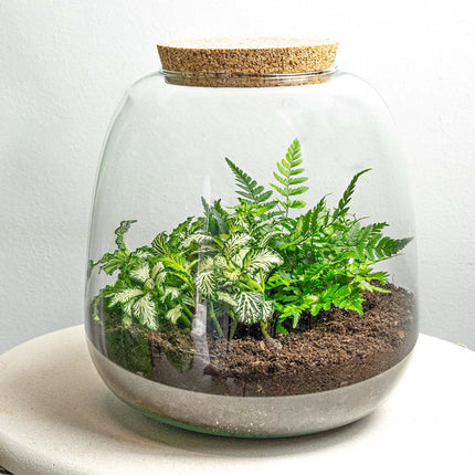 Terrarium Diy Kit - Emma Mini - Diy Kit - ↑ 20 Cm - Ø 19 Cm