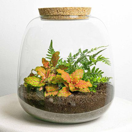 Terrarium Diy Kit - Emma Mini - Diy Kit - ↑ 20 Cm - Ø 19 Cm