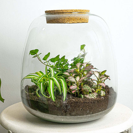 Terrarium Diy Kit - Emma - Diy Kit - ↑ 25 Cm - Ø 23 Cm