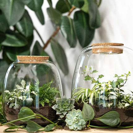 Terrarium Diy Kit - Emma - Diy Kit - ↑ 25 Cm - Ø 23 Cm