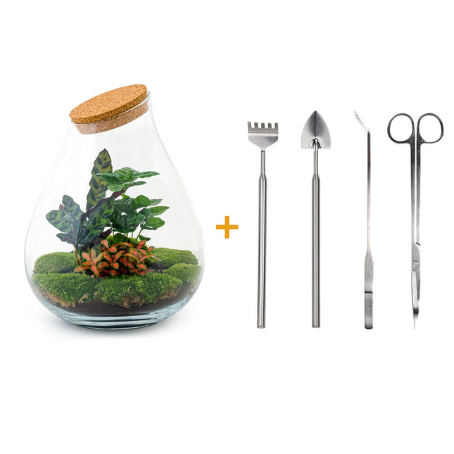 Terrarium Diy Kit - Drop Xxl Red - Bottle Garden - ↑ 43 Cm