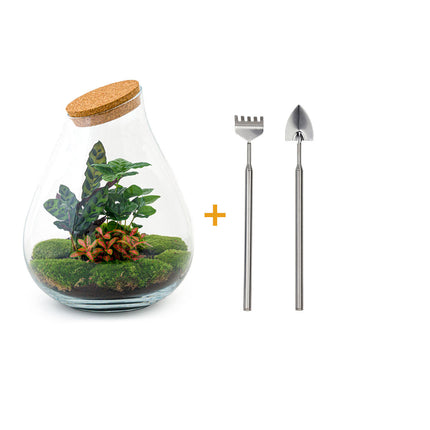Terrarium Diy Kit - Drop Xxl Red - Bottle Garden - ↑ 43 Cm