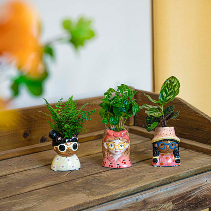 Mini Flower Pot Multi Color - Bobbi - Face Head - 10.5 Cm