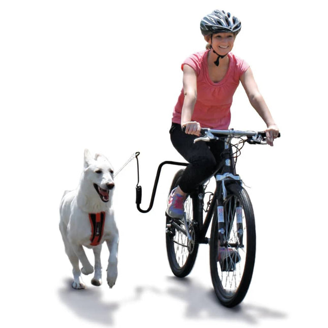 Springer Kit D'exercice De Vélo Pour Chiens