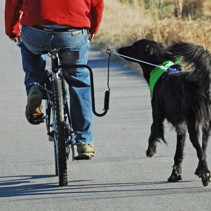 Springer Kit D'exercice De Vélo Pour Chiens
