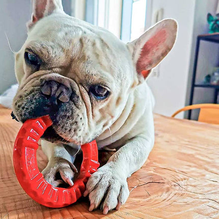 Ferplast Jouet Dentaire Pour Chien Smile L