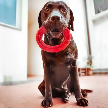 Ferplast Jouet Dentaire Pour Chien Smile L