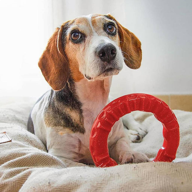 Ferplast Jouet Dentaire Pour Chien Smile L