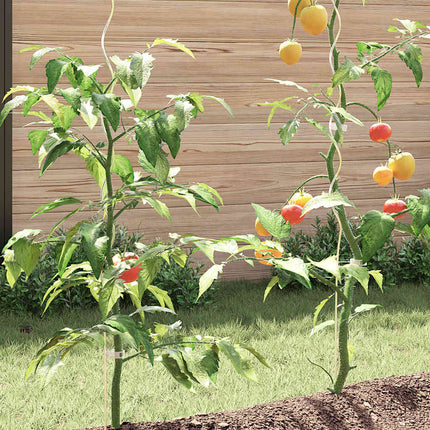 Supports De Plantes En Spirale 50 Pcs