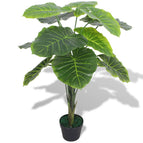 Vert / 1 / taro/85 cm
