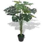 1 / 70 cm / Monstera