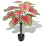 Vert / 1 / caladium/85 cm