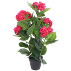 Rouge / 1 / hortensia / 60 cm