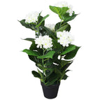 Blanc / 1 / hortensia / 60 cm
