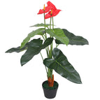 Rouge / 1 / anthurium / 90 cm