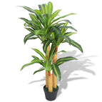 Vert / 1 / dracaena / 100 cm