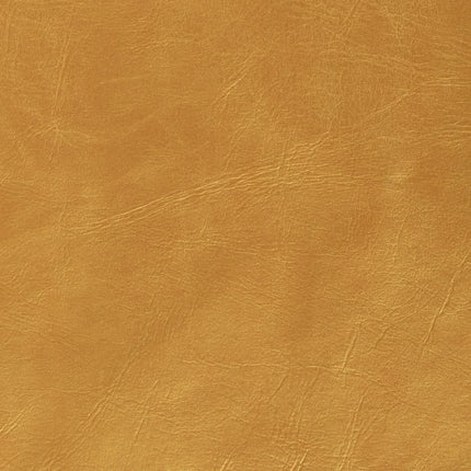 Jeu De Coussin Lot De 2 Pu