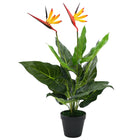 Plante Artificielle Strelitzia Reginae Oiseau De Paradis