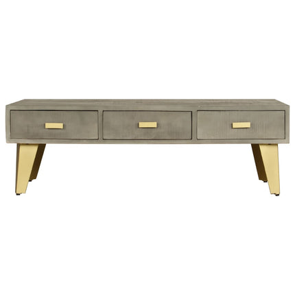 Table Basse Bois De Manguier Gris Avec Laiton 110X60X35 Cm