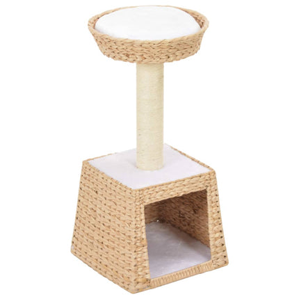 Arbre À Chat Avec Griffoirs En Sisal Herbiers Marins