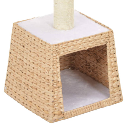 Arbre À Chat Avec Griffoirs En Sisal Herbiers Marins