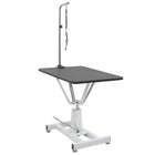 Table Toilettage Ajustable Hydraulique Pour Chiens Avec Pivot