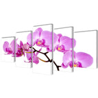 1 / 100 x 50 cm / Orchidée