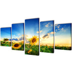 1 / 200 x 100 cm / Tournesol