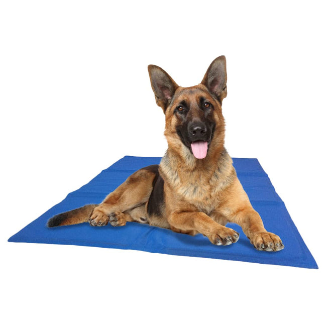 425148 @Pet Dog Cooing Mat Bue 50X90 Cm