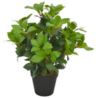 Plante Artificielle Avec Pot Laurier Vert
