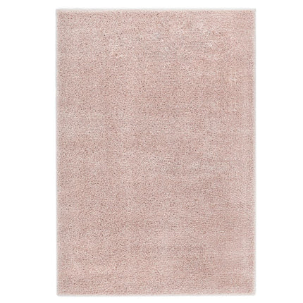 Tapis À Poils Longs Vieux