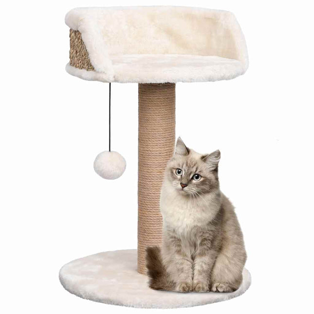 Arbre À Chat Avec Griffoirs 49 Cm Herbiers Marins