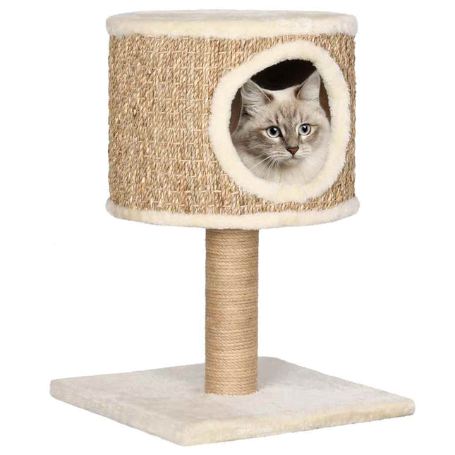 Arbre À Chat Avec Appartement Et Griffoir 52 Cm Herbiers Marins