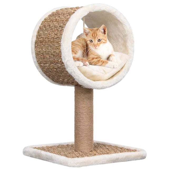 Arbre À Chat Et Tunnel Supérieur Et Jouet 56 Cm Herbiers Marins
