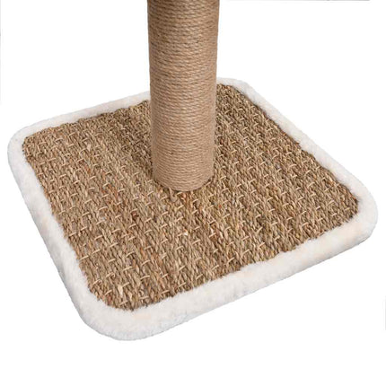 Arbre À Chat Et Tunnel Supérieur Et Jouet 56 Cm Herbiers Marins
