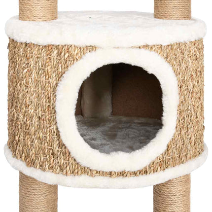 Arbre À Chat Avec Griffoirs 126 Cm Herbiers Marins
