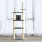 Arbre À Chat Avec Griffoirs En Sisal 171 Cm
