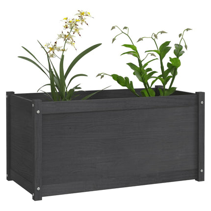 Jardinière 100X50X50 Cm Bois De Pin Massif