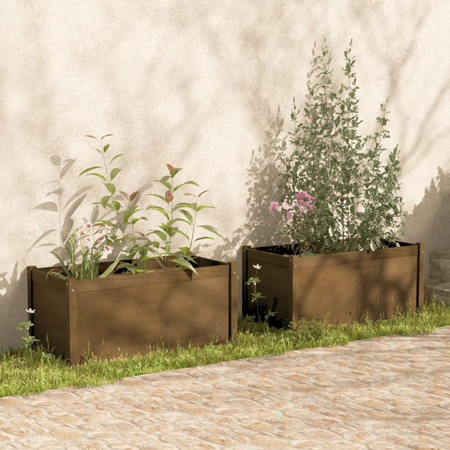 Jardinière 100X50X50 Cm Bois De Pin Massif