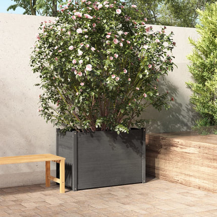 Jardinière D'extérieur 100X50X70 Cm Bois De Pin Massif