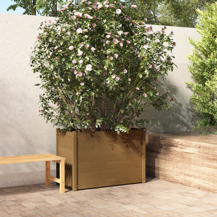 Jardinière D'extérieur 100X50X70 Cm Bois De Pin Massif