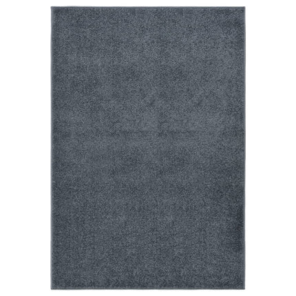 Tapis À Poils Courts
