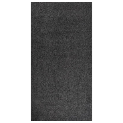 Tapis Shaggy À Poils Longs