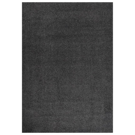 Tapis Shaggy À Poils Longs