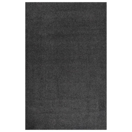Tapis Shaggy À Poils Longs