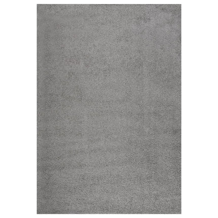 Tapis Shaggy À Poils Longs