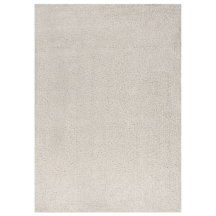 Tapis Shaggy À Poils Longs